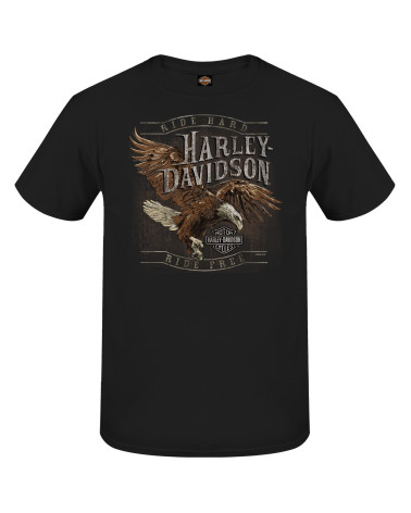 Harley Davidson Route 76 t-shirt uomo 3001758