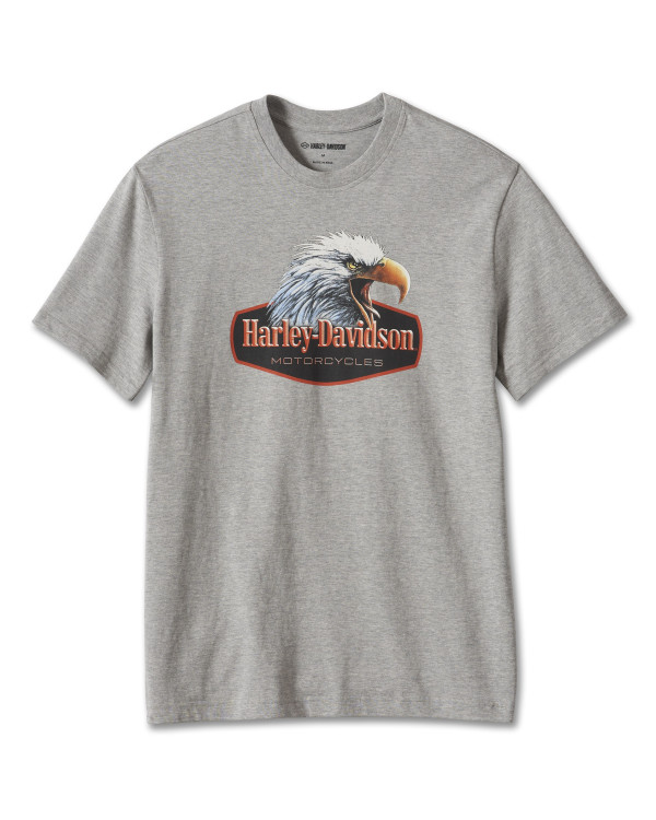 Harley Davidson Route 76 t-shirt uomo 96201-24VM