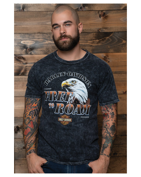 Harley Davidson Route 76 t-shirt uomo 40291495