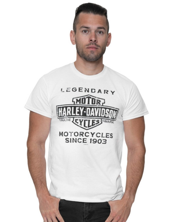 Harley Davidson Route 76 t-shirt uomo 40291503