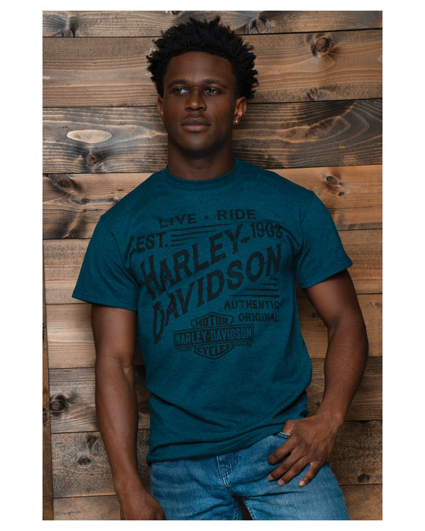 Harley Davidson Route 76 t-shirt uomo 40291506