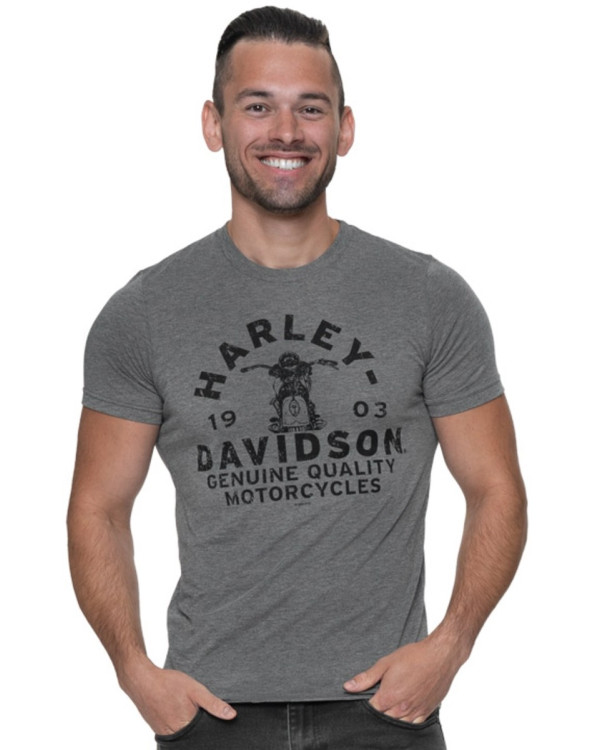 Harley Davidson Route 76 t-shirt uomo 40291514