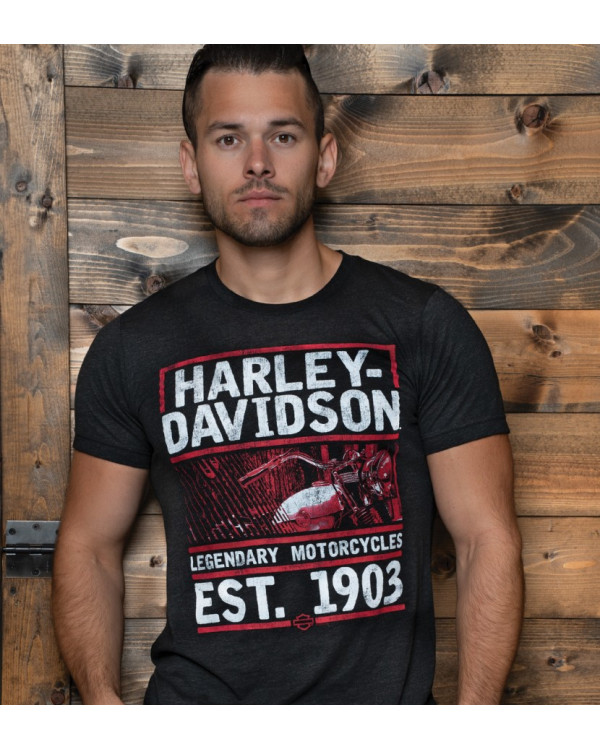 Harley Davidson Route 76 t-shirt uomo 40291498