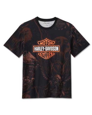 Harley Davidson Route 76 t-shirt uomo 96536-24VM