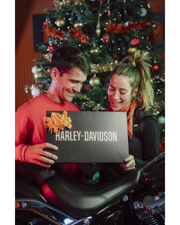 Harley Davidson Route 76 articoli natale MISTERY