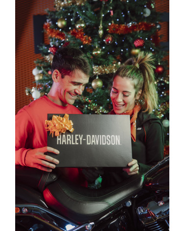 Harley Davidson Route 76 articoli natale MISTERY