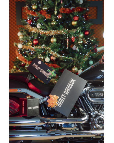 Harley Davidson Route 76 articoli natale MISTERY