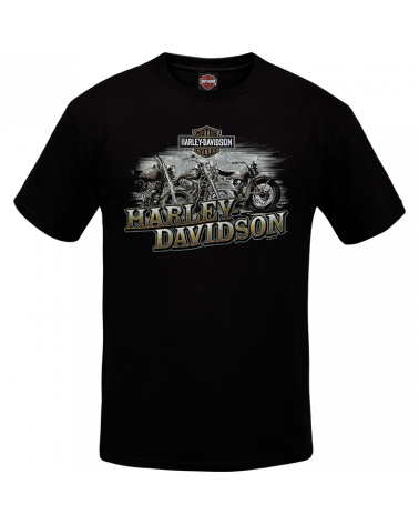 Harley Davidson Route 76 t-shirt uomo R002895