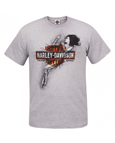Harley-Davidson Route 76 maglie, camicie, felpe e T-shirt uomo