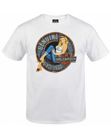 Harley Davidson Route 76 t-shirt uomo R003244