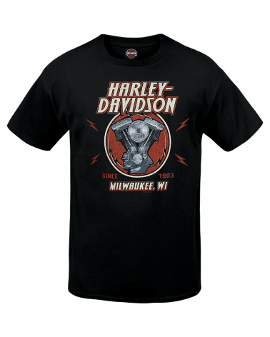 Harley Davidson Route 76 t-shirt uomo R003445