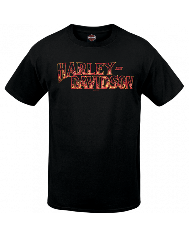 Harley Davidson Route 76 t-shirt uomo R003455