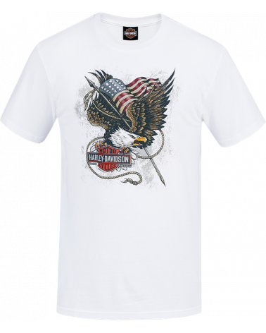 Harley Davidson Route 76 t-shirt uomo R003550