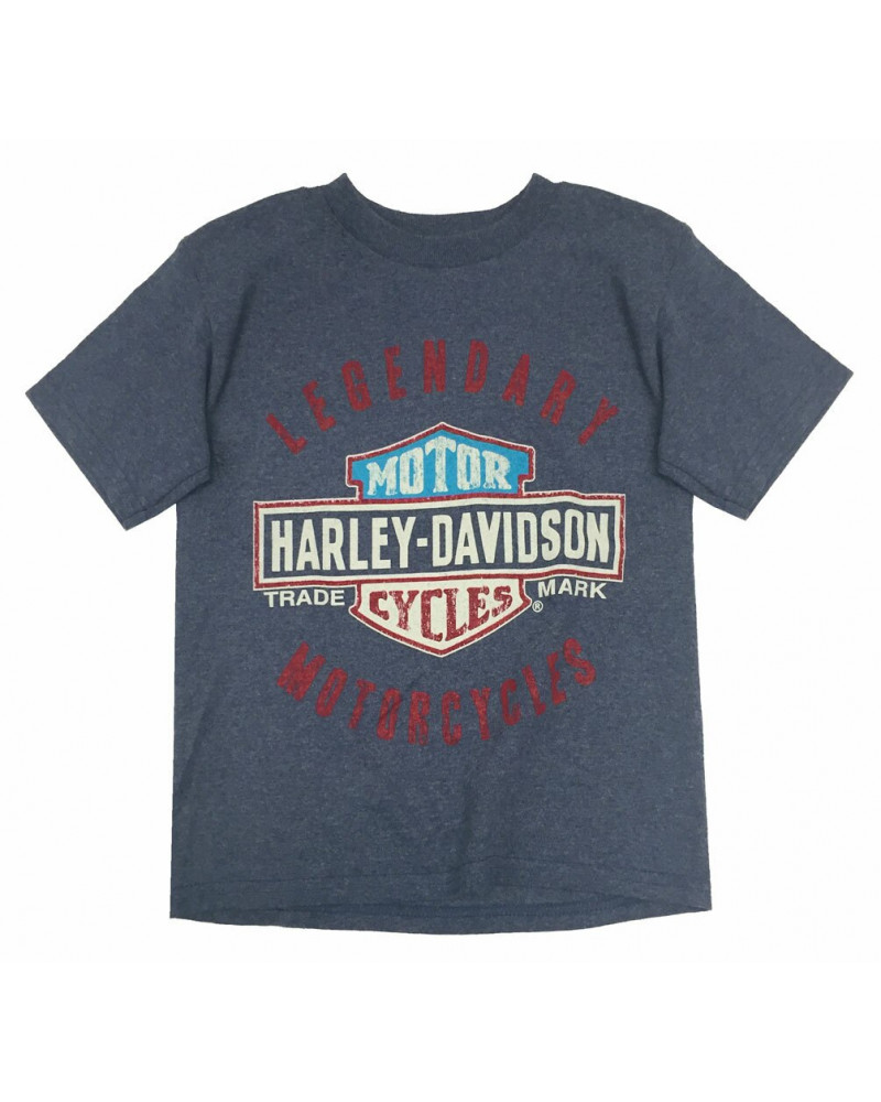 Harley Davidson Route 76 t-shirt bambini 1580685