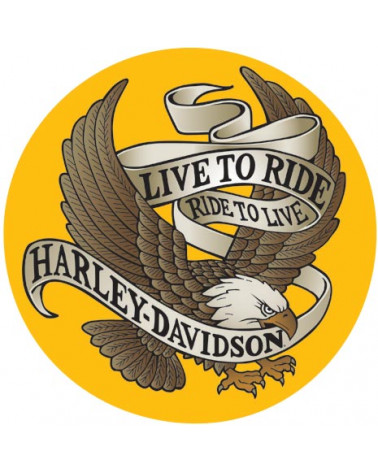 Harley Davidson Route 76 calamite 2010232