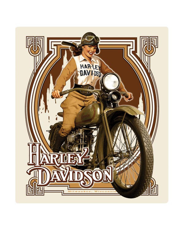 Harley Davidson Route 76 calamite 2010582