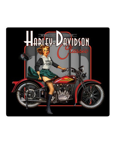 Harley Davidson Route 76 calamite 2010602