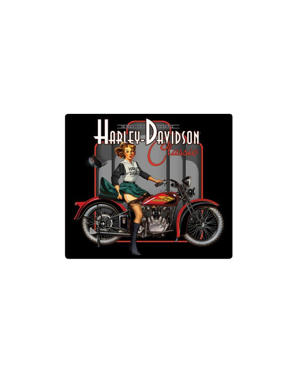 Harley Davidson Route 76 calamite 2010602