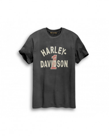 Harley Davidson Route 76 t-shirt uomo 96002-19VM