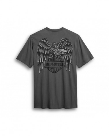 Harley Davidson Route 76 t-shirt uomo 96037-20VM
