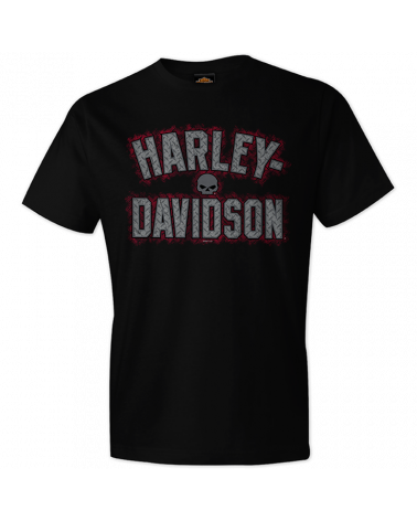 Harley Davidson Route 76 t-shirt uomo R003951