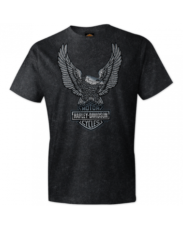 Harley Davidson Route 76 t-shirt uomo R003967