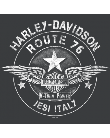 Harley Davidson Route 76 t-shirt uomo R003967