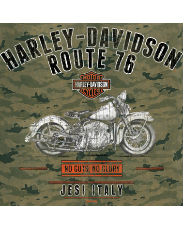 Harley Davidson Route 76 t-shirt uomo R003577