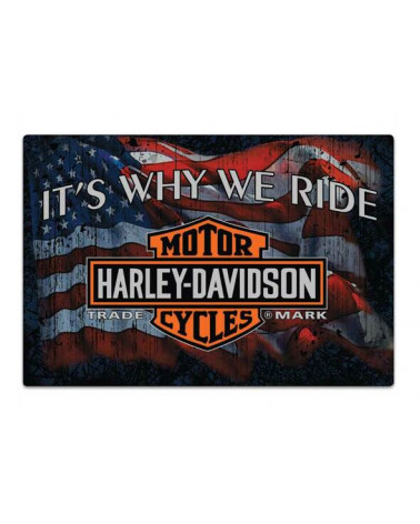 Harley Davidson Route 76 targhe 2012071