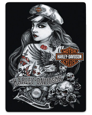 Harley Davidson Route 76 targhe 2012011