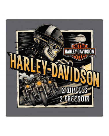 Harley Davidson Route 76 targhe 2011321