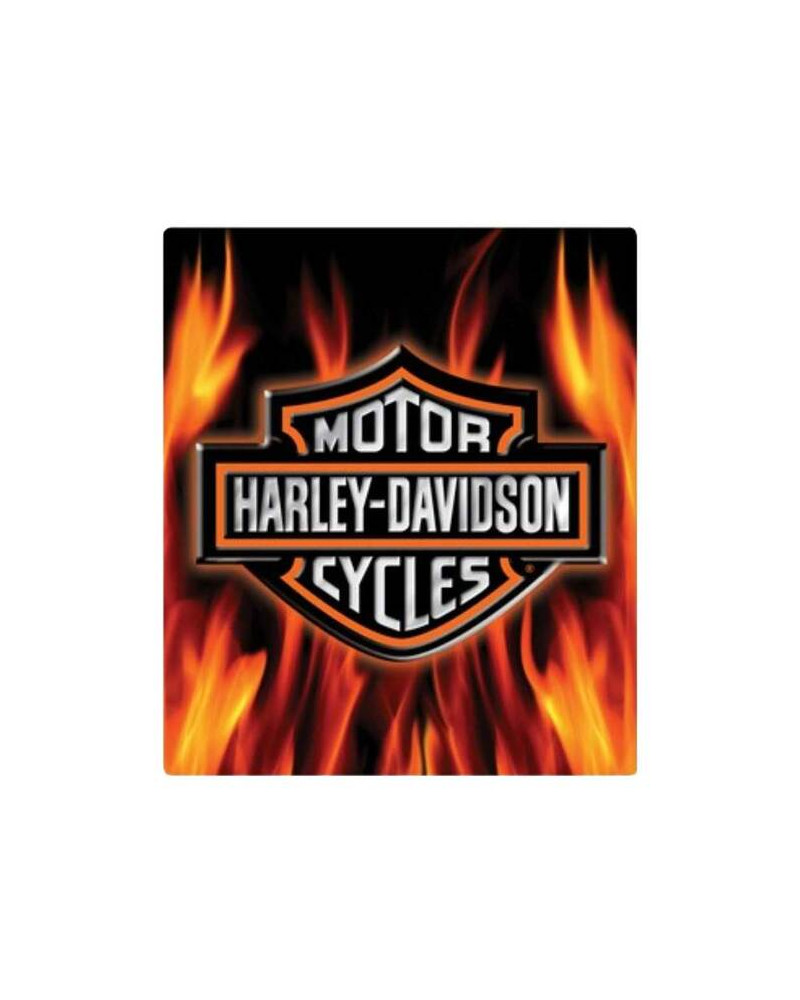 Harley Davidson Route 76 targhe 2011291