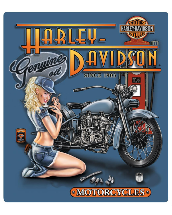 Harley Davidson Route 76 targhe 2011261