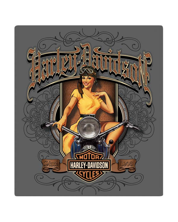 Harley Davidson Route 76 targhe 2010591