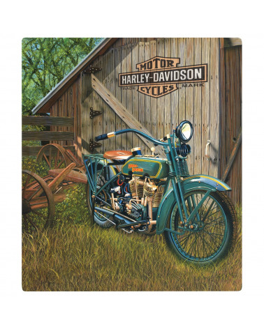 Harley Davidson Route 76 targhe 2010531