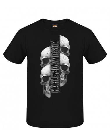 Harley Davidson Route 76 t-shirt uomo R004393
