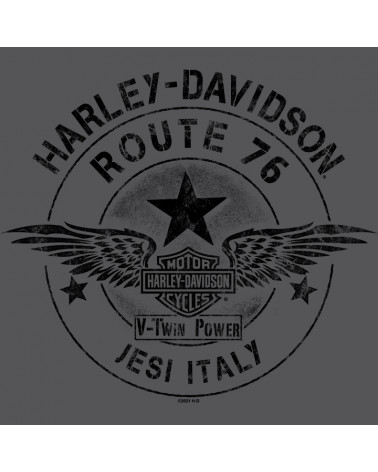 Harley Davidson Route 76 felpe uomo R004546