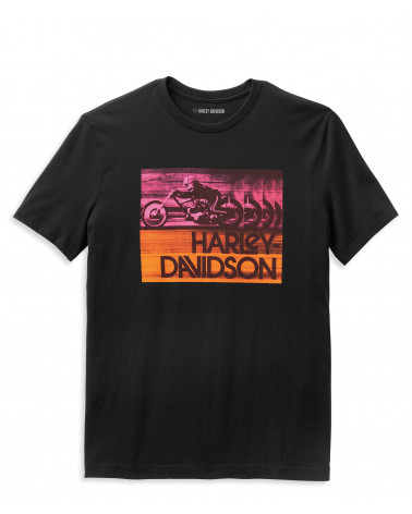 Harley Davidson Route 76 t-shirt uomo 96532-22VM