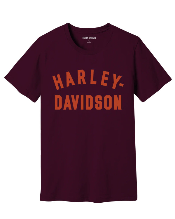 Harley Davidson Route 76 t-shirt uomo 96319-23VM