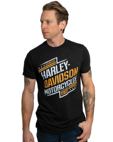 Harley Davidson Route 76 t-shirt uomo 40291048