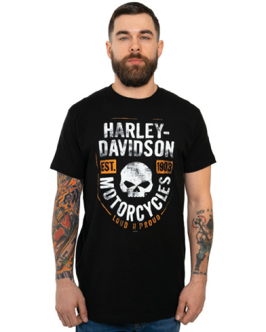 Harley Davidson Route 76 t-shirt uomo 40291036