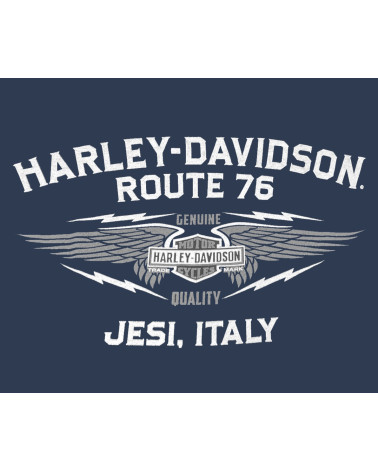Harley Davidson Route 76 t-shirt uomo 40291043
