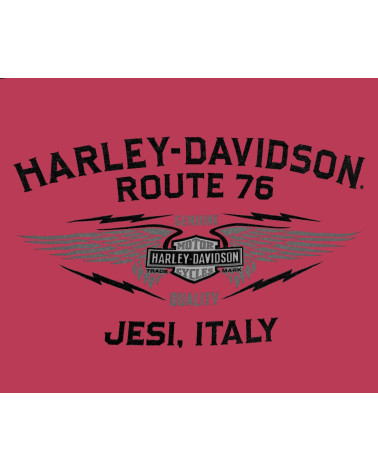 Harley Davidson Route 76 t-shirt uomo 40291067