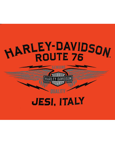 Harley Davidson Route 76 t-shirt uomo 40291076