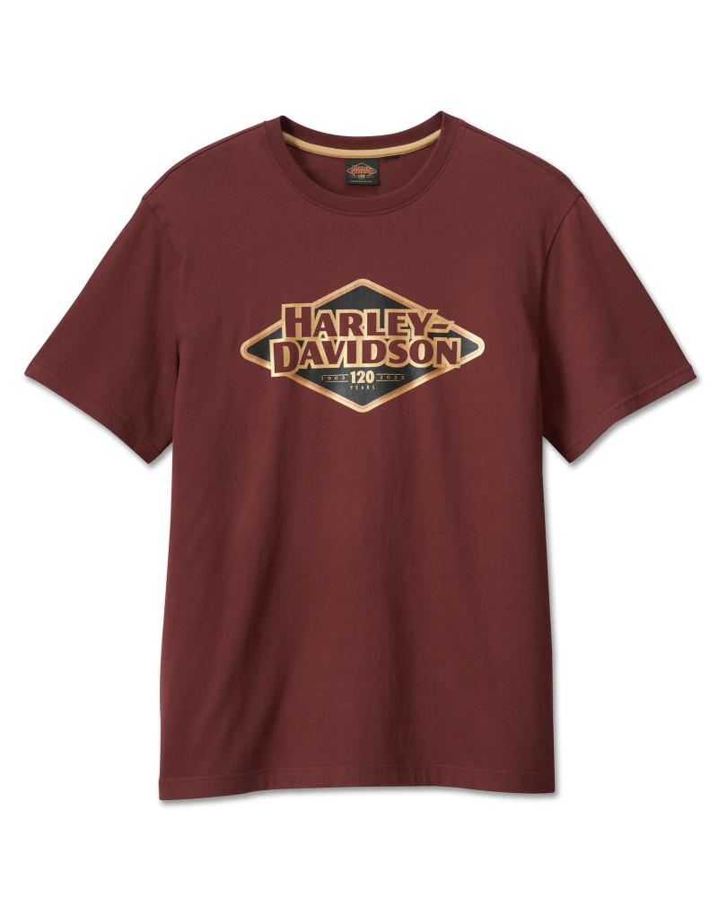 Harley Davidson Route 76 t-shirt uomo 96573-23VM