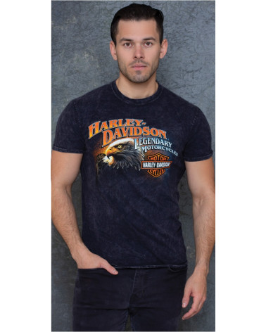 Harley Davidson Route 76 t-shirt uomo 40291242