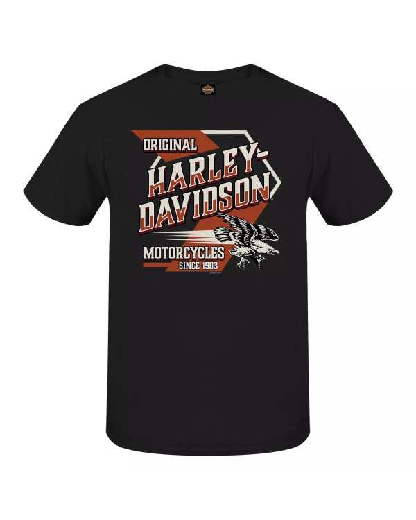 Harley Davidson Route 76 t-shirt uomo 3001691