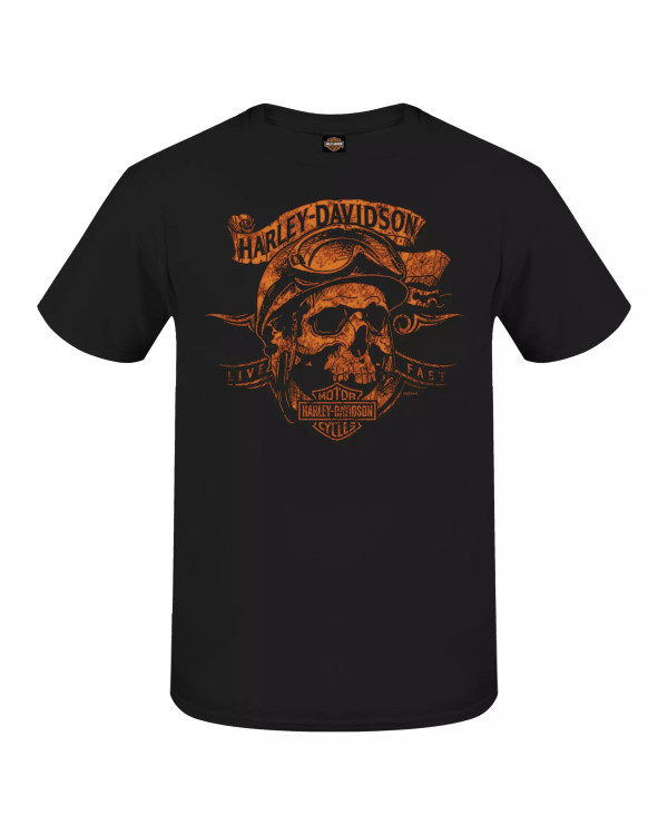 Harley Davidson Route 76 t-shirt uomo 3001710