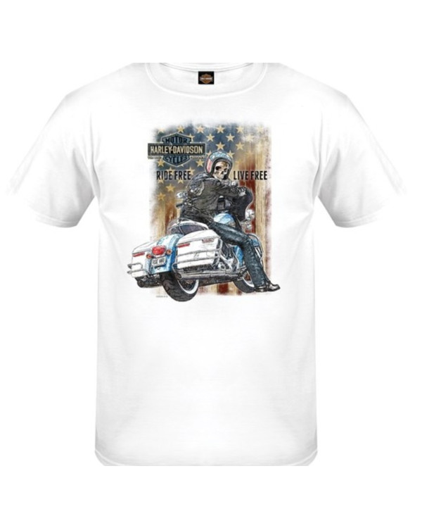 Harley Davidson Route 76 t-shirt uomo 3001694