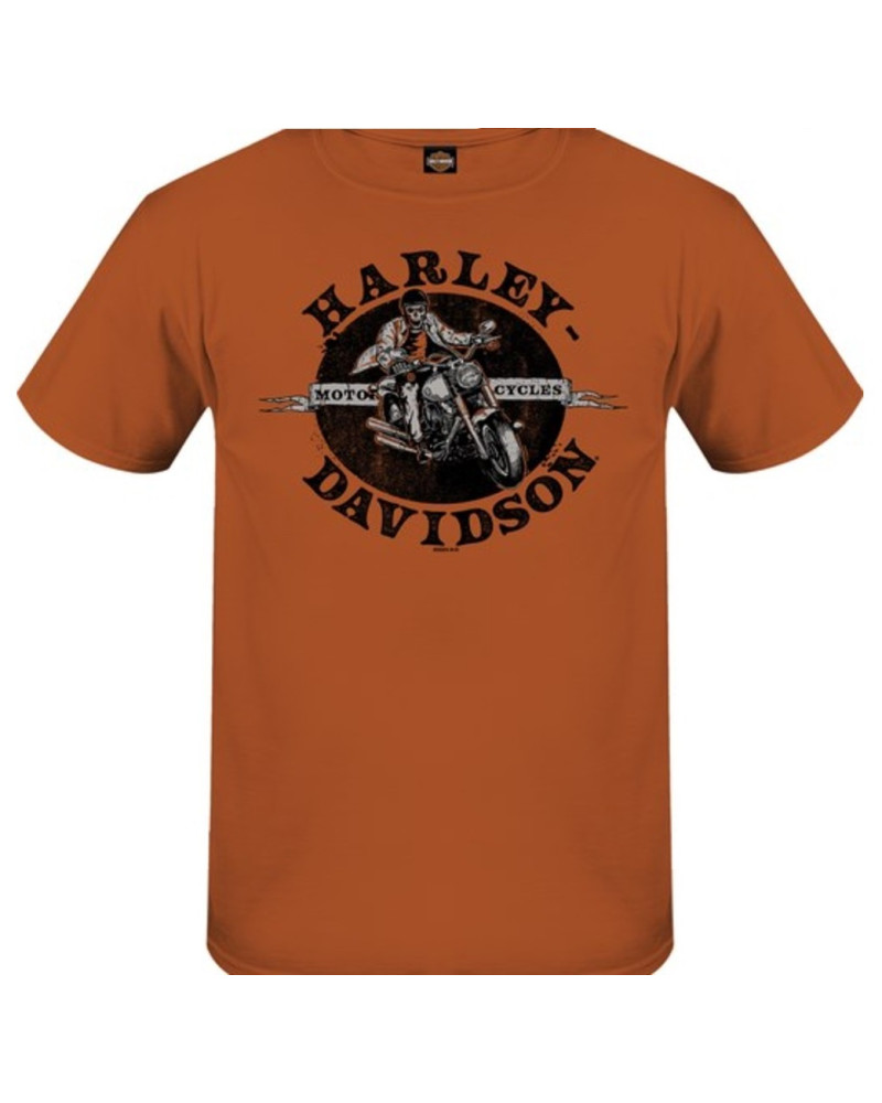 Harley Davidson Route 76 t-shirt uomo 3001707